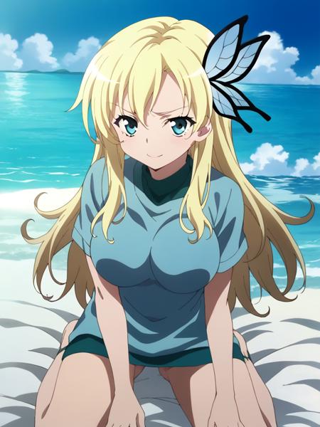 kashiwazaki sena