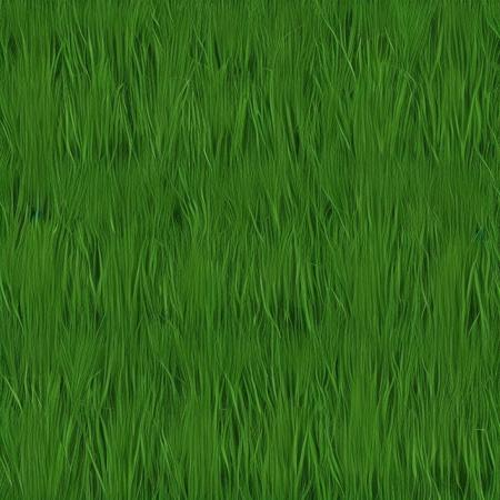 Grass texture