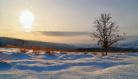 snowy landscapes版本snowy landscapes (ID: 319619)