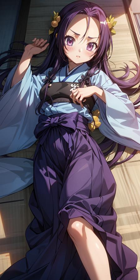 Akechi Mitsuhide / 明智光秀 / Oda Nobuna no yabou / 織田信奈の野望