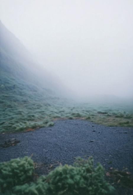 FP100C