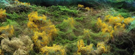 Jiayu - Art Landscape Particles(Beta)