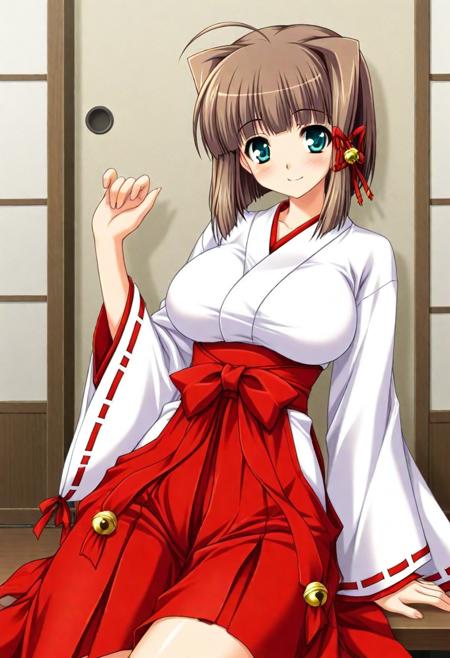 yuki ayatsuji 綾辻ユキ ( Seito Kaichou Hikaru,聖徒会長ヒカル)版本illustrious-noob-v1.0 (ID: 1093055)