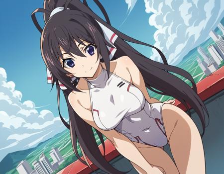 Houki Shinonono (篠ノ之 箒) - Infinite Stratos (IS 〈インフィニット・ストラトス〉)