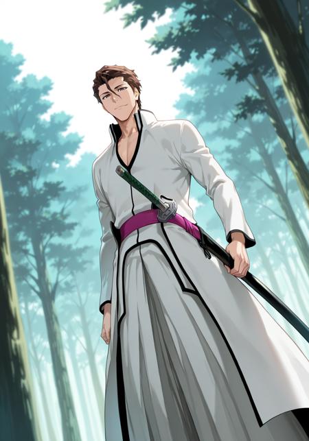 Aizen Sosuke(Bleach) (3 Outfits) | 1.5 SD/PONY/Illustrious