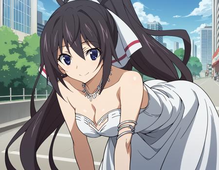 Houki Shinonono (篠ノ之 箒) - Infinite Stratos (IS 〈インフィニット・ストラトス〉)