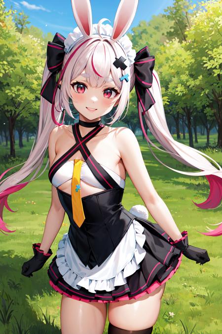 Tomari Mari 兎鞠まり / Vtuber