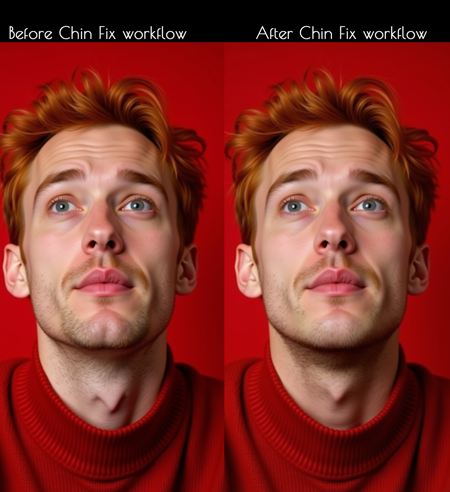 Automatic Chin Fixer workflow