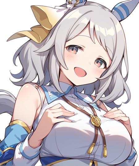 Hishi Miracle (Umamusume) / ヒシミラクル (ウマ娘) [PDXL]