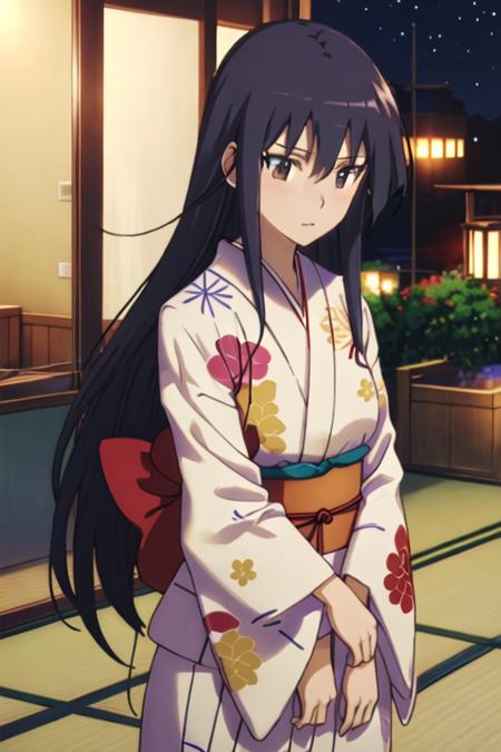 Amakusa Shino (Seitokai Yakuindomo)