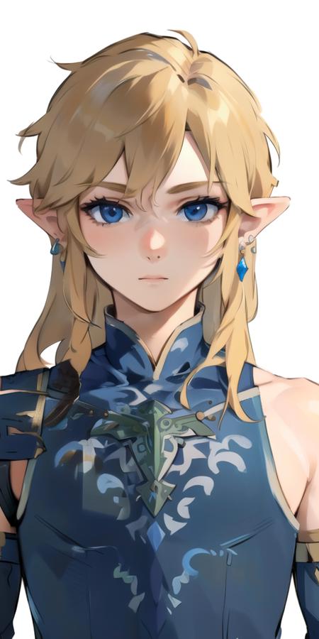 Link (Frostbite Armor Set)版本LinkFrostV1.0 (ID: 286056)