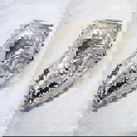 Wolf Skull XL版本v1.0 (ID: 986886)