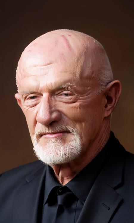 PonyXL-Jonathan banks(Mike Ehrmantraut)