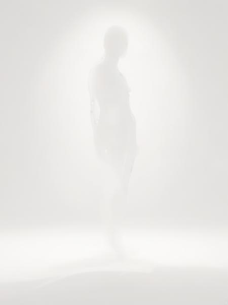 SDXL - Faint Silhouette (White-Out)版本v1.0 (ID: 318269)