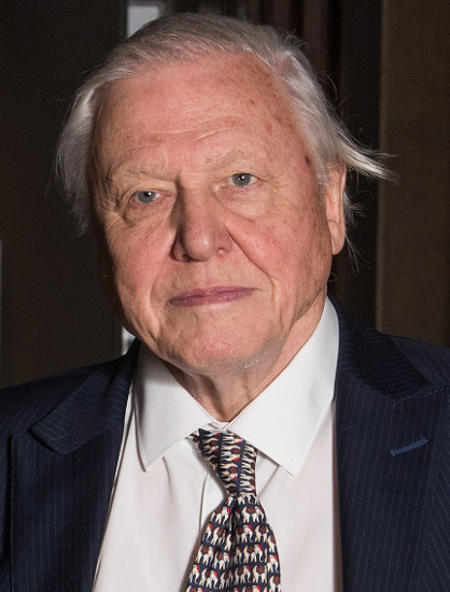 Sir David Attenborough (Voice Model)版本v1.0 RVC [Pitch+TTS] (ID: 90119)