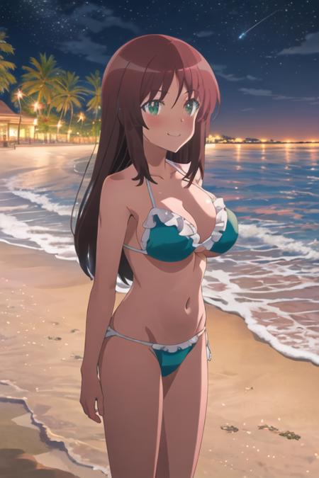 Kaneshiya Shitara (Alice Gear Aegis Expansion)