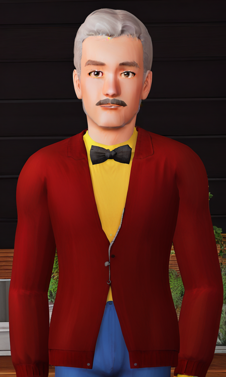 The Sims Styles