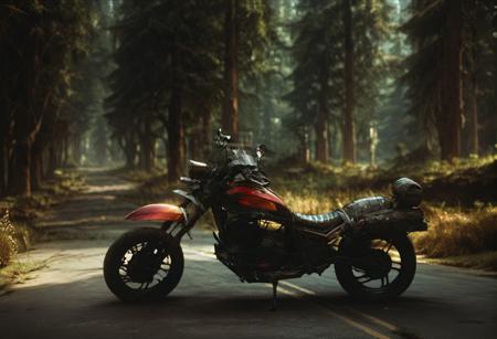 0960 Motorcycle parked on forest road