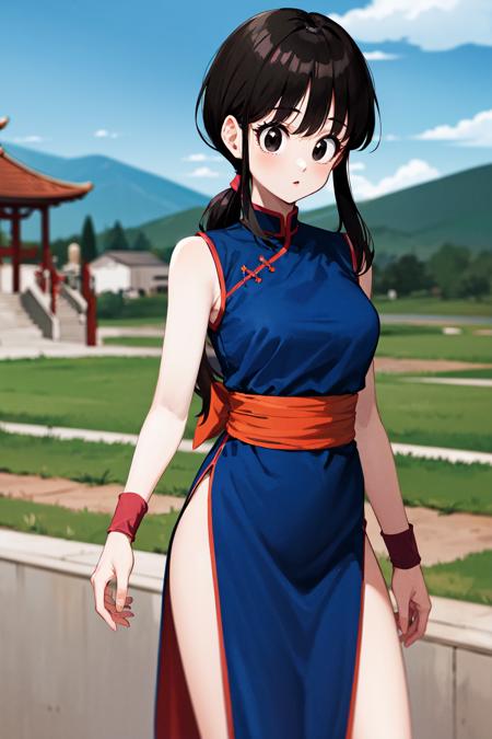 Chi-Chi チチ / Dragon Ball
