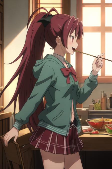 Sakura Kyouko (Puella Magi Madoka Magica)