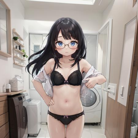 日本の住宅の洗面所 Washrooms in Japanese Houses SD15