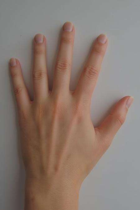 FluxHands (Final Bonus)