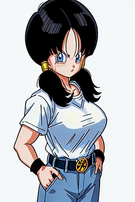 Videl (Dragon Ball Z) Lora