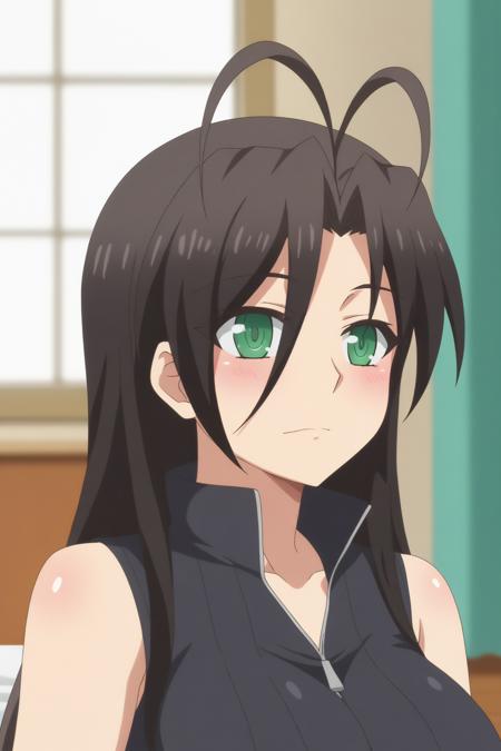 Shinmai Maou No Testament | Chisato Hasegawa | PDXL版本v1.0 (ID: 802024)