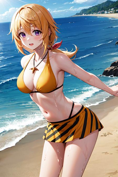 Charlotte Dunois シャルロット・デュノア / Infinite Stratos
