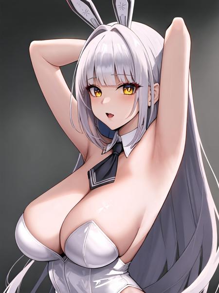 【Character】Blanc (NIKKE)