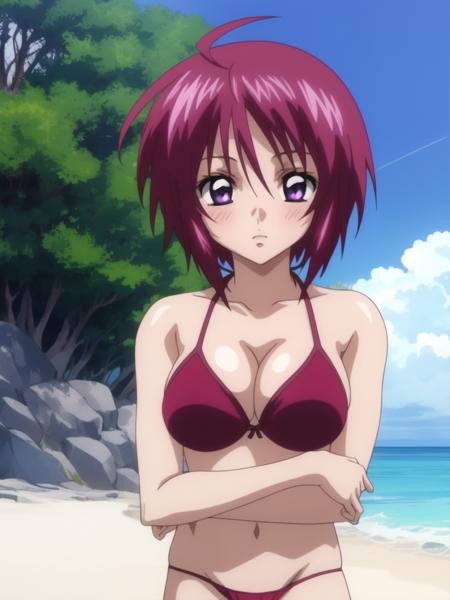 ルナマリア_ホーク　Lunamaria_Hawke (gundam seed)