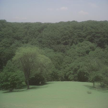 Sony Mavica