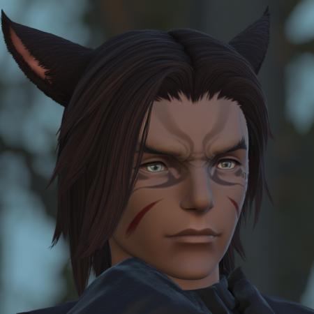 Face 2 Male Miqo RE:MIX Pony/Flux/XL/1.5