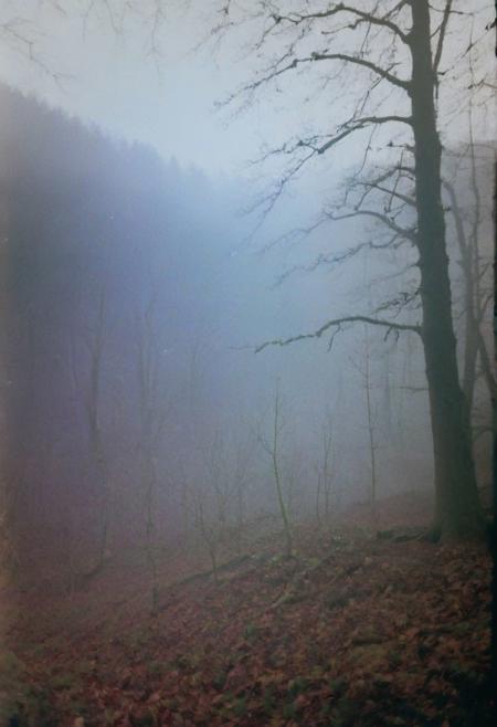 c41_zenit_kodakgold