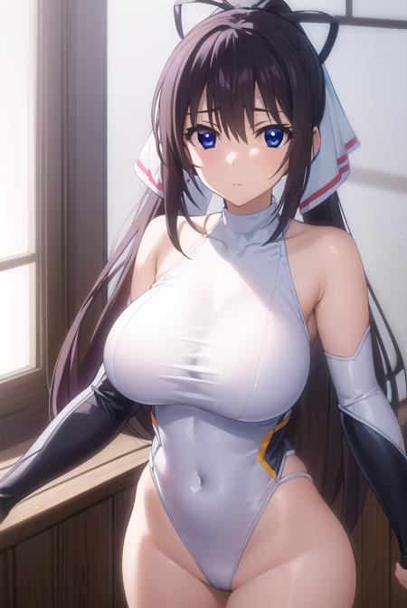 Houki Shinonono (篠ノ之 箒) - Infinite Stratos (IS 〈インフィニット・ストラトス〉)