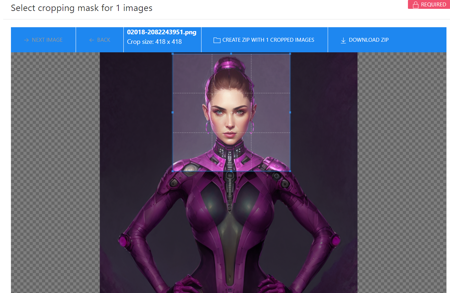 Web Bulk Image Cropper版本v1.0 (ID: 50977)