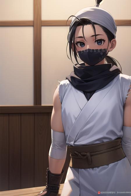 Ibuki - Street Fighter