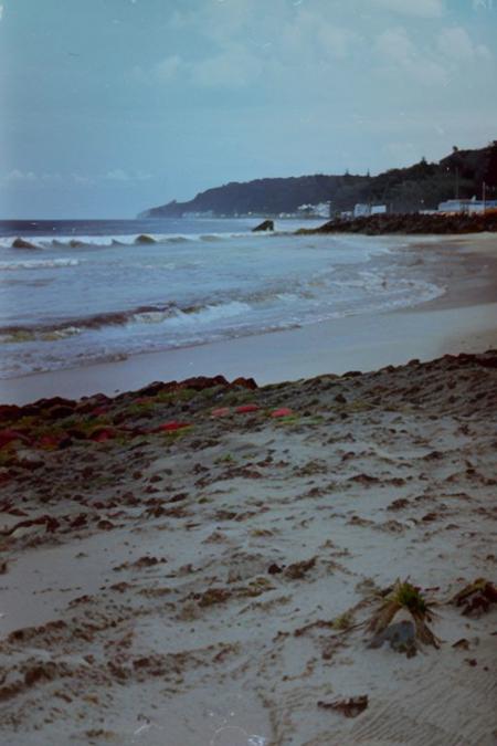 c41_zenit_kodakgold