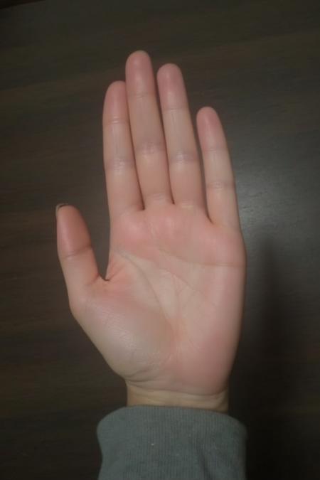 FluxHands (Final Bonus)