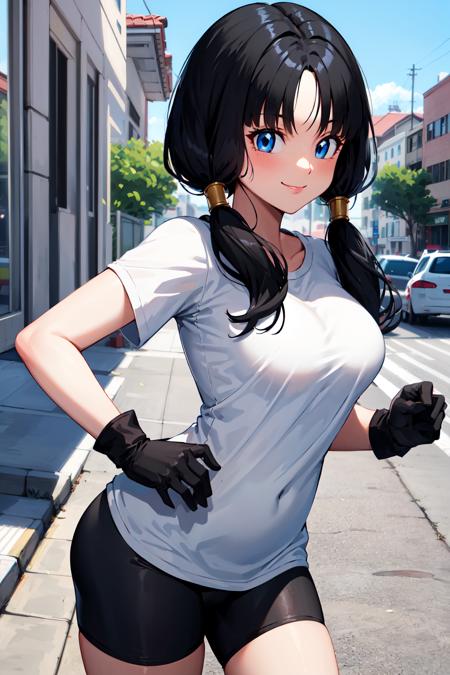 Videl ビーデル / Dragon Ball Z