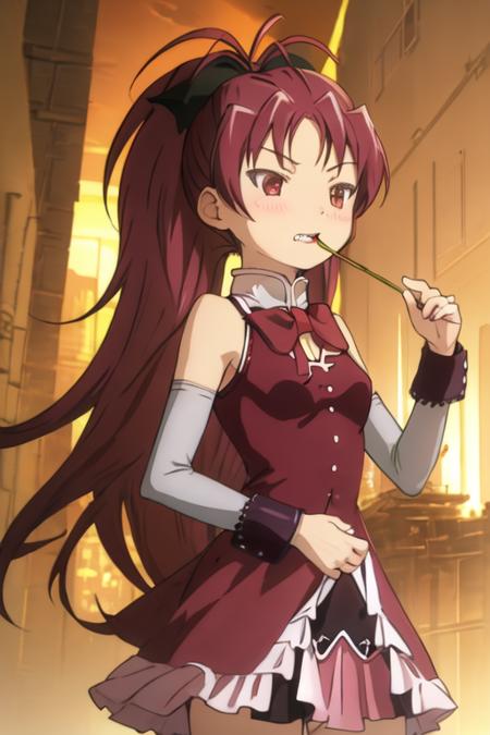 Sakura Kyouko (Puella Magi Madoka Magica)