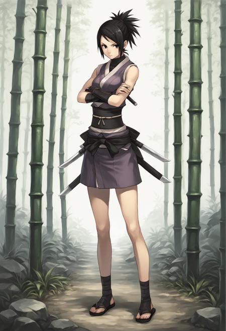 Ayame (Tenchu) XL [Pony + Illustrious]
