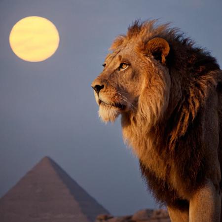 Egyptian mythology cinematic style XL + F1D