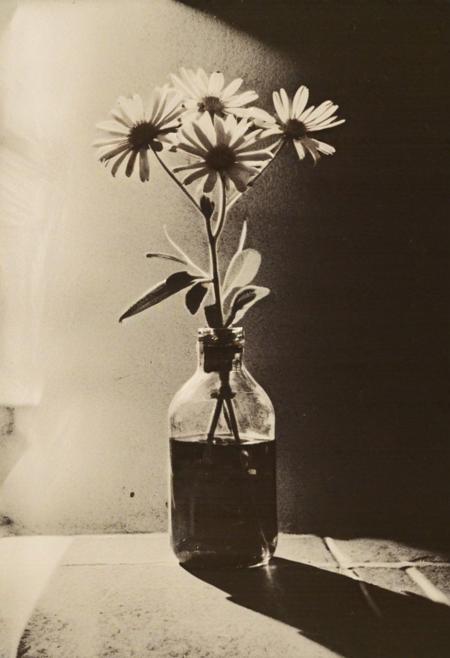 lith_agfa_record_rapidRRH1