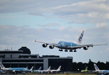 A380 Flying Honu / A380 フライング・ホヌ