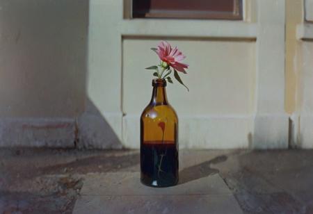 belomo_kodak_gold