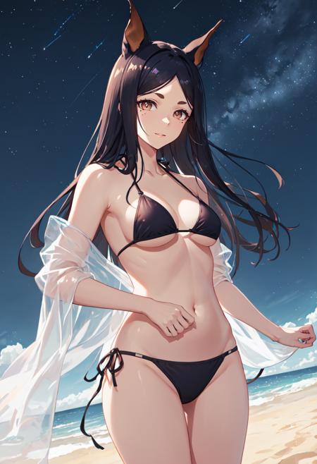 dobermann/ドーベルマン/杜宾 (Arknights)