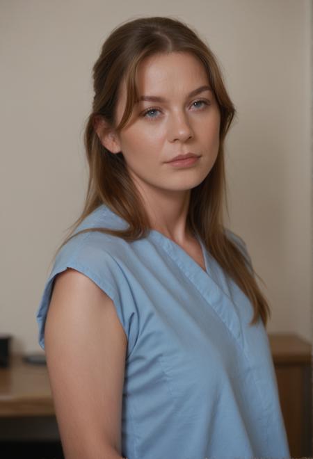 Dr.Meredith Grey (Ellen Pompeo)版本v1.0 (ID: 683491)