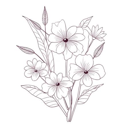 Hand Drawn Flowers