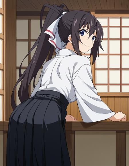 Houki Shinonono (篠ノ之 箒) - Infinite Stratos (IS 〈インフィニット・ストラトス〉)